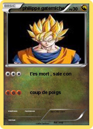 Pokemon philippe gaterniche