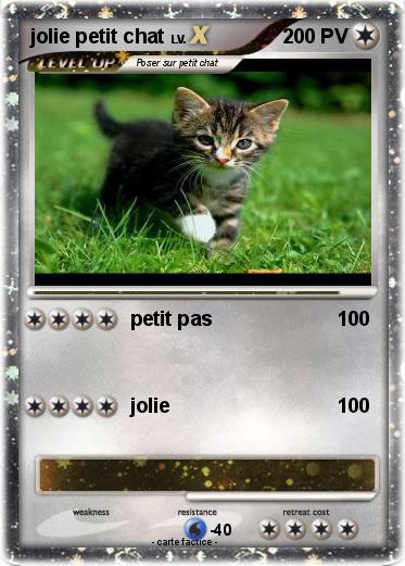 Pokemon jolie petit chat