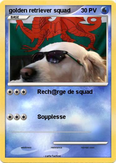 Pokemon golden retriever squad