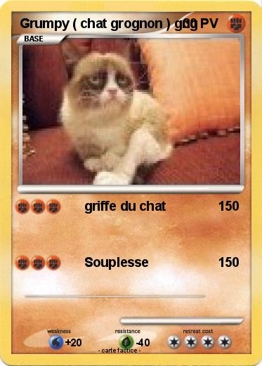 Pokemon Grumpy ( chat grognon ) gng