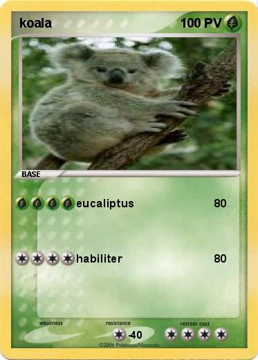 Pokemon koala