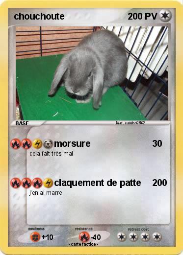 Pokemon chouchoute