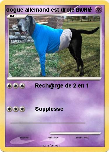 Pokemon dogue allemand est drôle m0itié