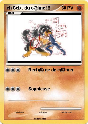 Pokemon eh Seb , du c@lme !!!