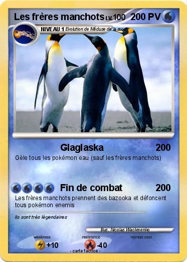 Pokemon Les frères manchots