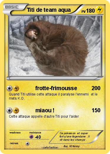 Pokemon Titi de team aqua