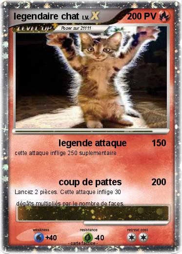 Pokemon legendaire chat