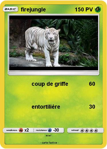 Pokemon firejungle
