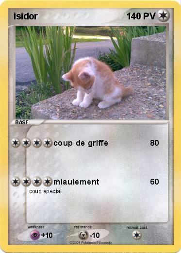 Pokemon isidor