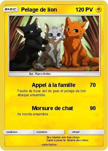 Pokemon Pelage de lion