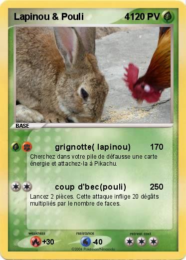 Pokemon Lapinou & Pouli                4