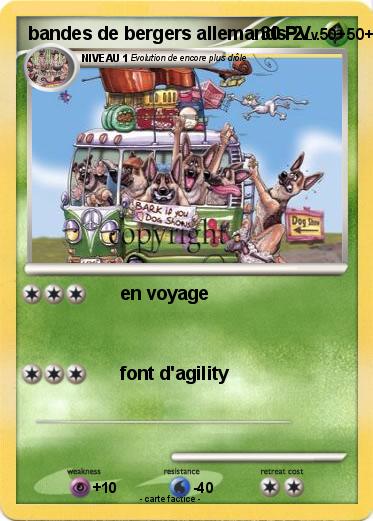 Pokemon bandes de bergers allemands 2