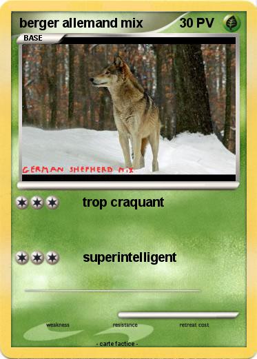 Pokemon berger allemand mix