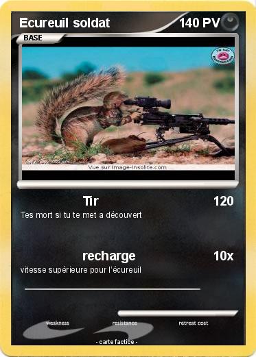 Pokemon Ecureuil soldat