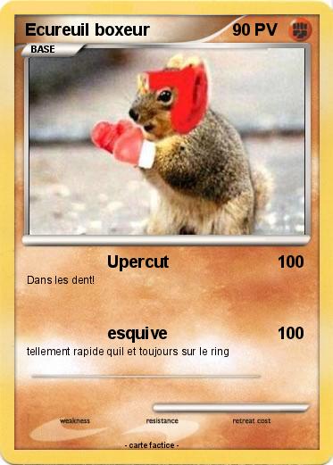 Pokemon Ecureuil boxeur