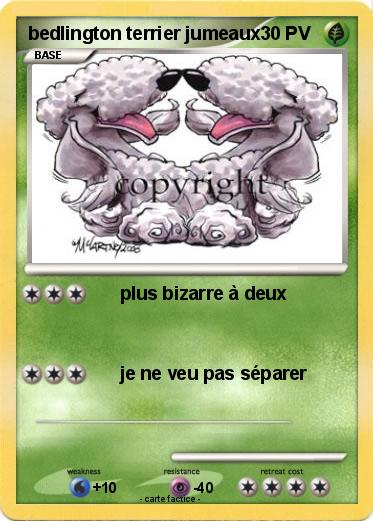 Pokemon bedlington terrier jumeaux