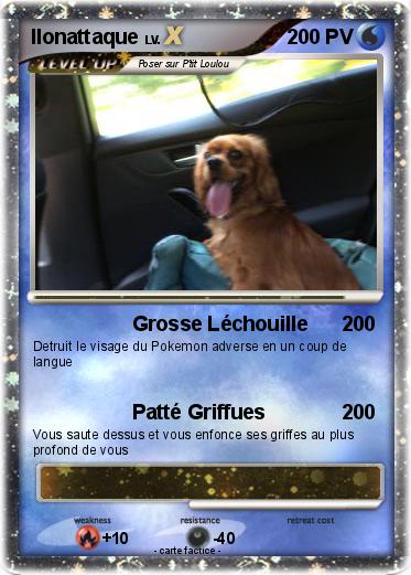 Pokemon Ilonattaque