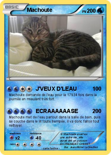 Pokemon Machoute