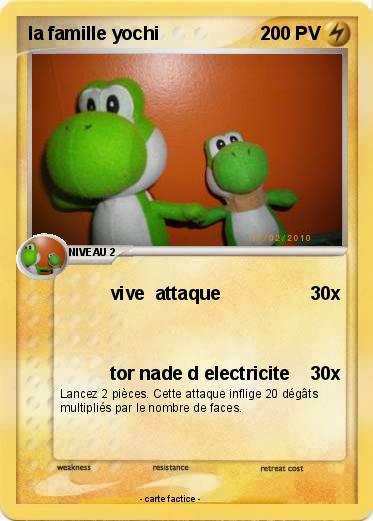 Pokemon la famille yochi