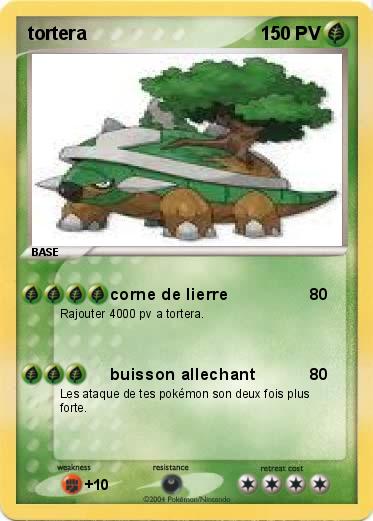 Pokemon tortera
