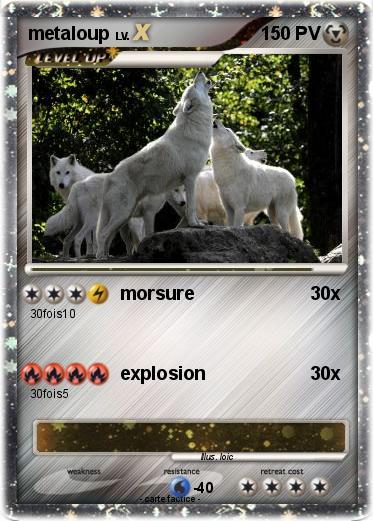 Pokemon metaloup