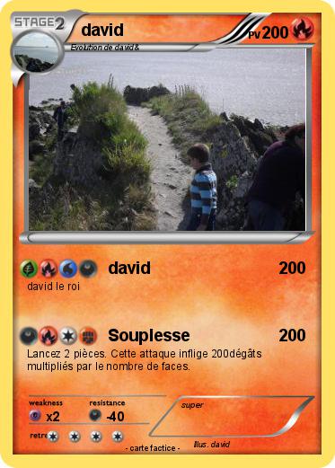 Pokemon david