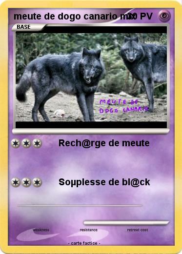 Pokemon meute de dogo canario mix