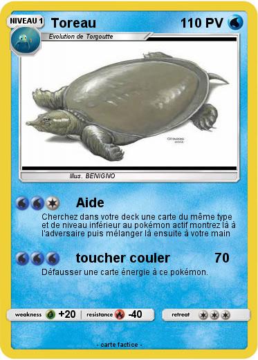 Pokemon Toreau