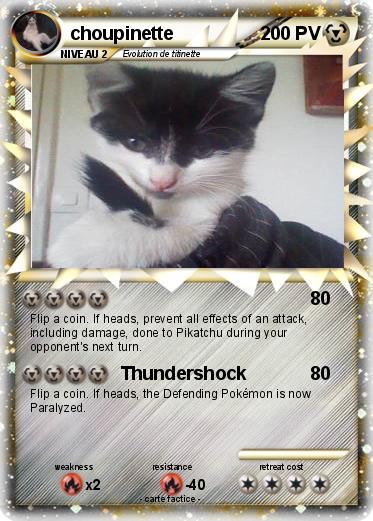 Pokemon choupinette