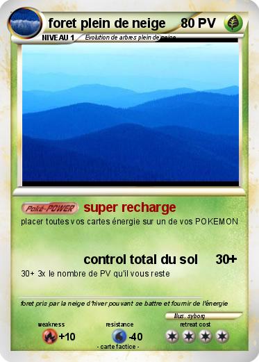 Pokemon foret plein de neige
