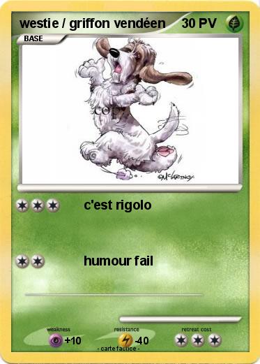 Pokemon westie / griffon vendéen