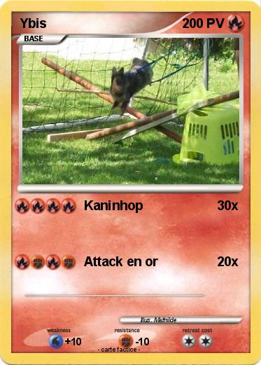 Pokemon Ybis