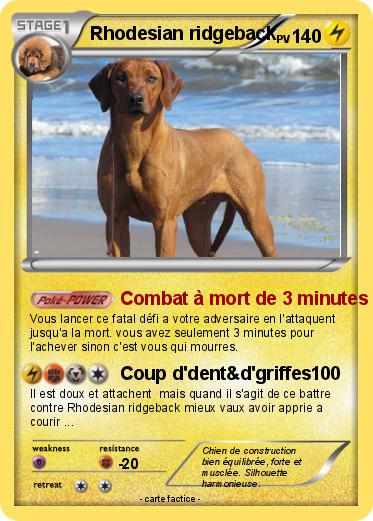 Pokemon Rhodesian ridgeback