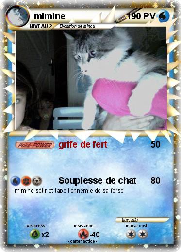 Pokemon mimine