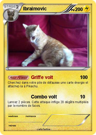 Pokemon Ibraimovic