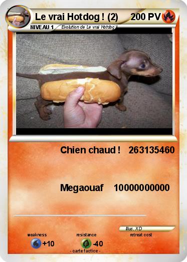 Pokemon Le vrai Hotdog ! (2)