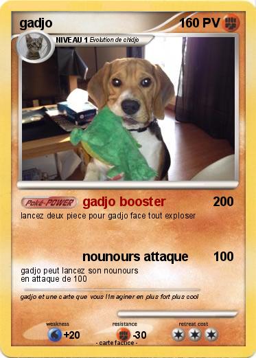 Pokemon gadjo