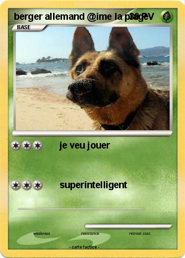 Pokemon berger allemand @ime la plage