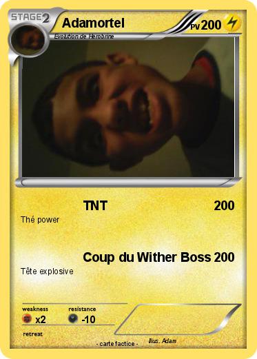Pokemon Adamortel