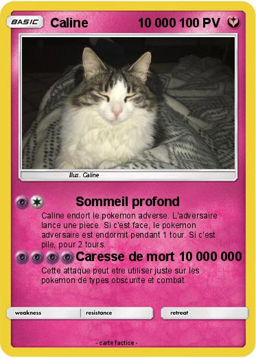 Pokemon Caline              10 000