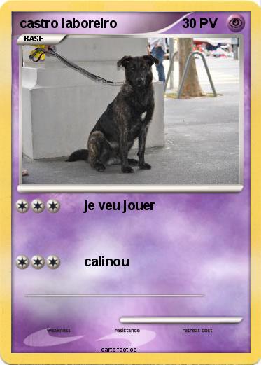 Pokemon castro laboreiro