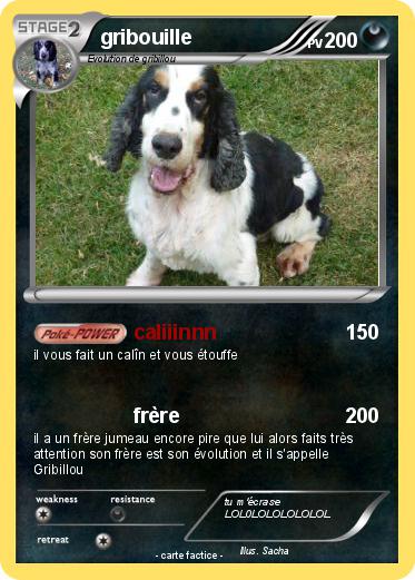 Pokemon gribouille