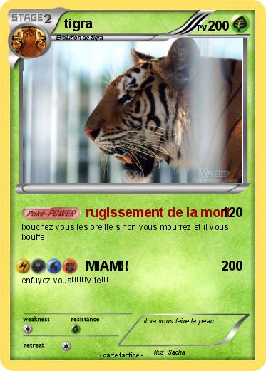 Pokemon tigra