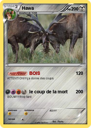 Pokemon Hawa