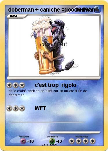 Pokemon doberman + caniche =doodlerman