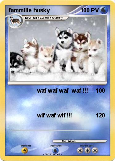 Pokemon fammille husky
