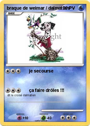 Pokemon braque de weimar / dalmatien