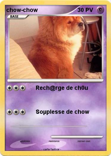 Pokemon chow-chow