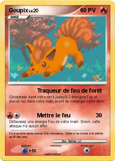 Pokemon Goupix