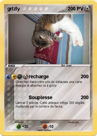 Pokemon grizly